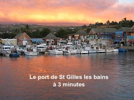 Prana Lodge Saint Gilles Les Bains 800 M De La Plage Exteriör bild